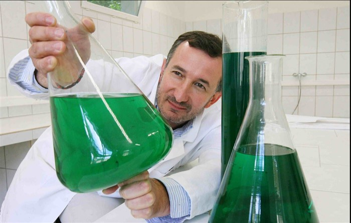 lampada alle alghe: Pierre Calleja, fondatore di Fermentalg