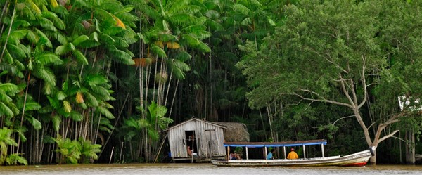 Ecoturismo in Xixuaú: Amazzonia