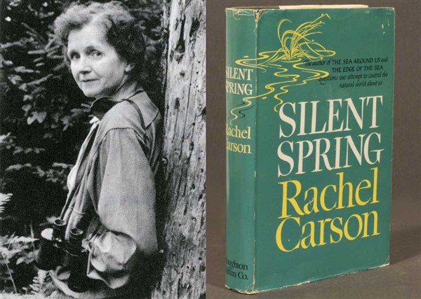 primavera silenziosa: libri su ambiente ed ecologia